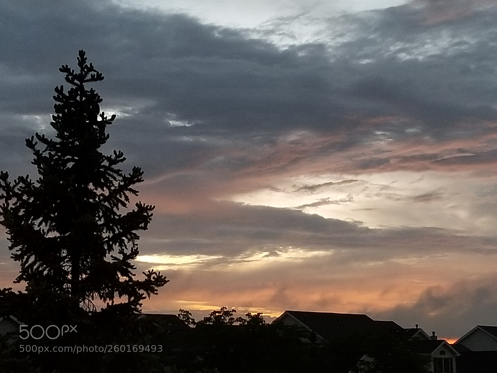 Samsung Galaxy S8 sample photo. Untitled photography