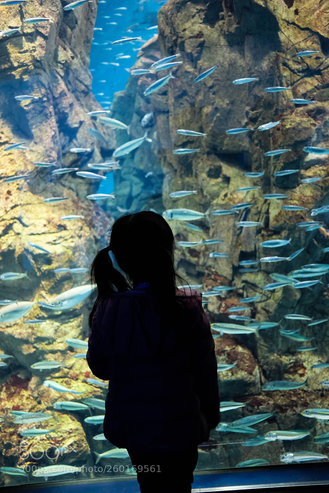 Fujifilm X-E3 sample photo. Fishy business photography