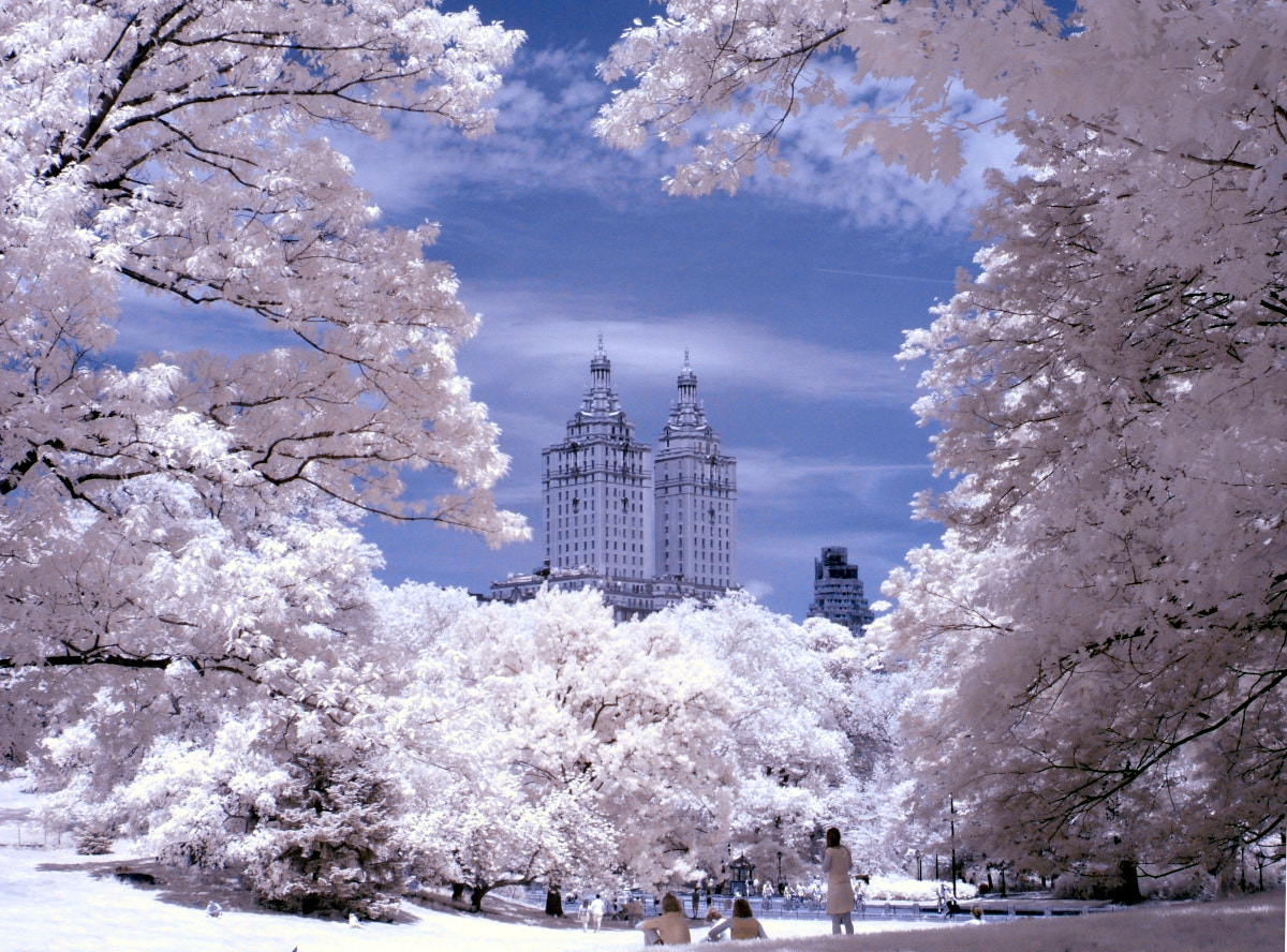 Fujifilm FinePix E550 sample photo. Central park ir photography