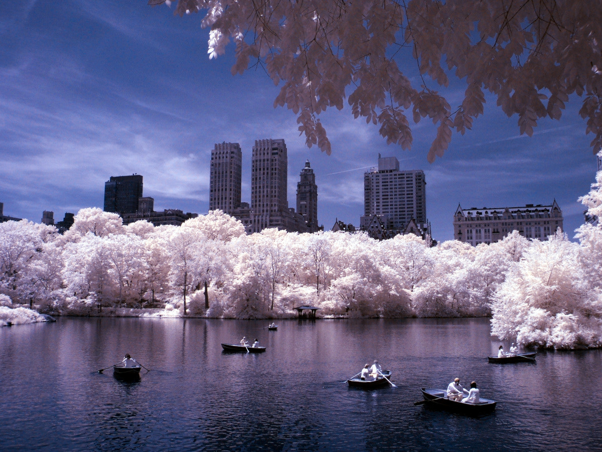 Fujifilm FinePix E550 sample photo. Central park ir photography