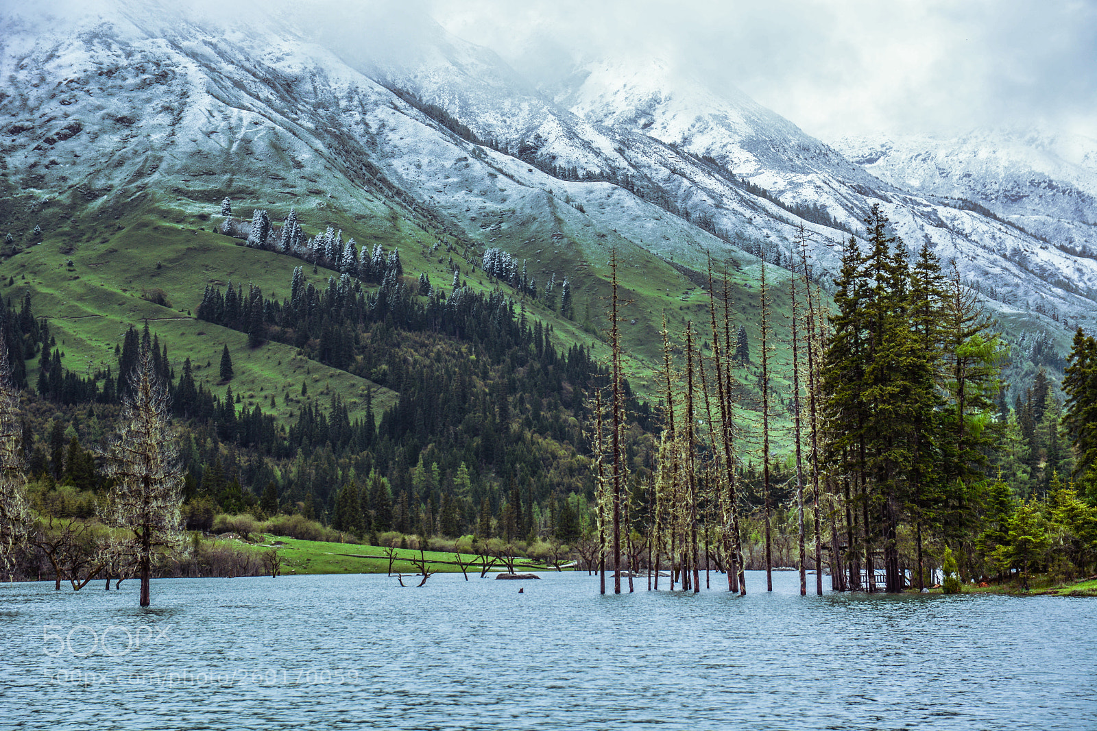 Nikon D7100 sample photo. Untitled photography