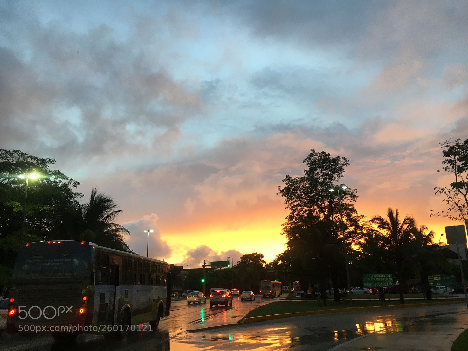 Apple iPhone 6s sample photo. Untitled photography