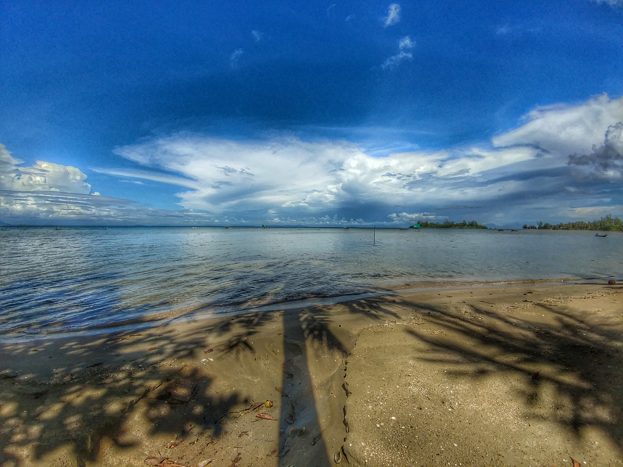 LG V20 sample photo