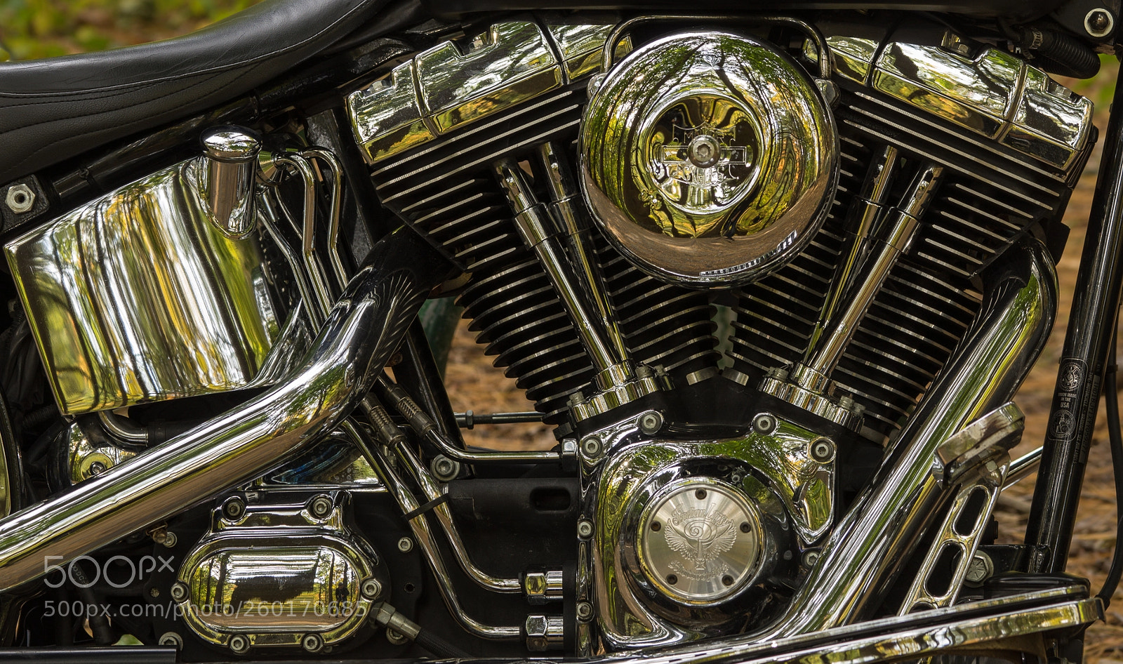 Sony a7 II sample photo. Dsc photography