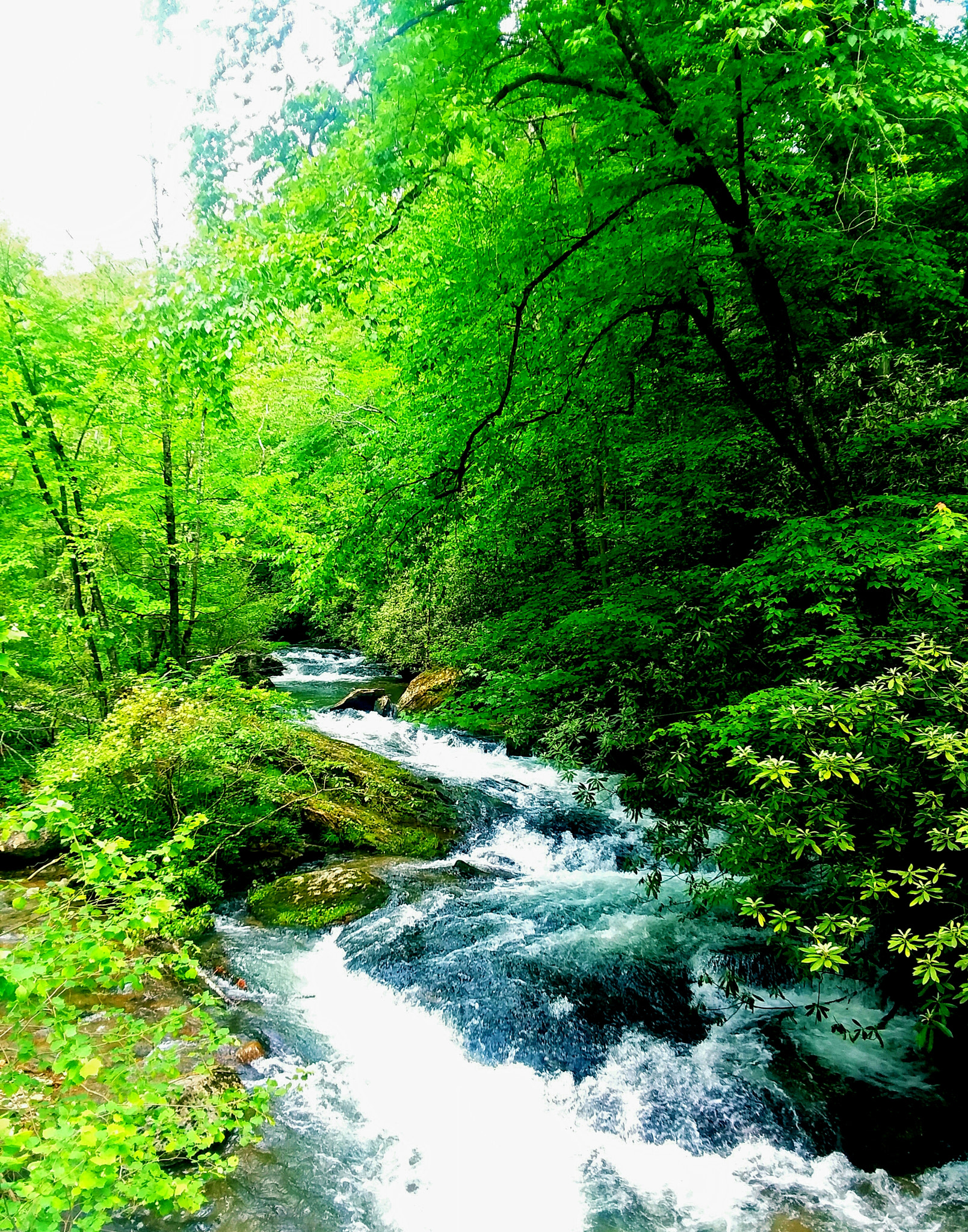 Samsung Galaxy J7 Pop sample photo. -fairy falls- photography