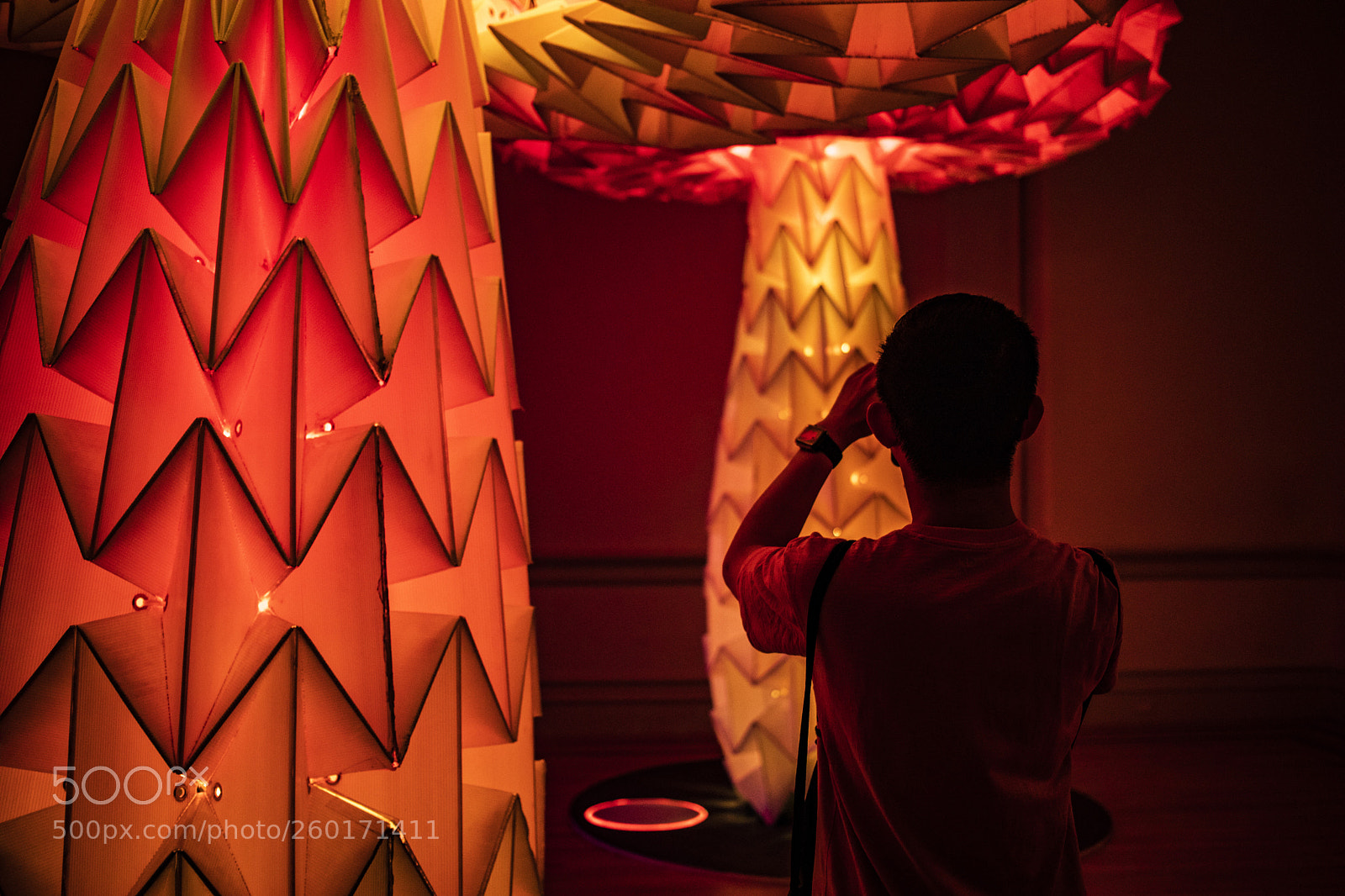 Canon EOS 5D Mark IV sample photo. Shrumen lumen by foldhaus photography