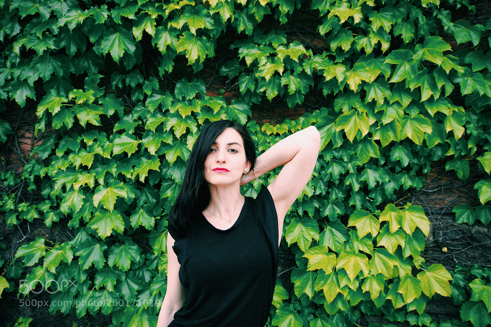 Sony E 16-50mm F3.5-5.6 PZ OSS sample photo. Poisonedivy photography