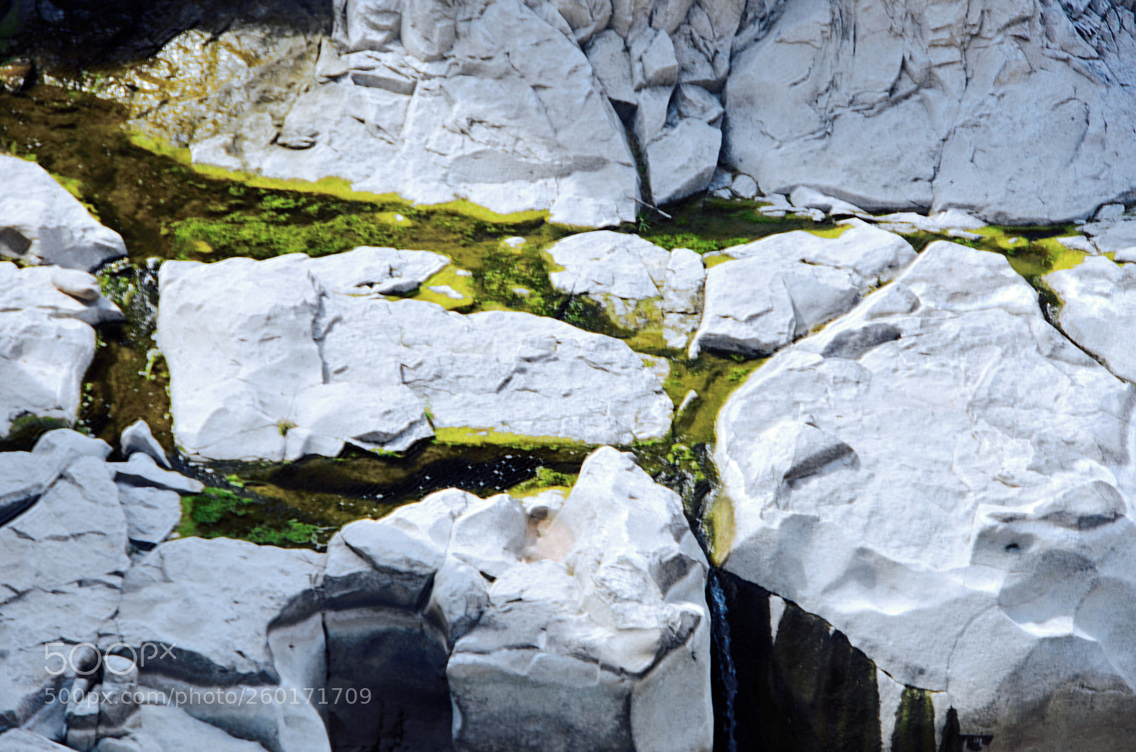 Nikon D7000 sample photo. Star falls photography