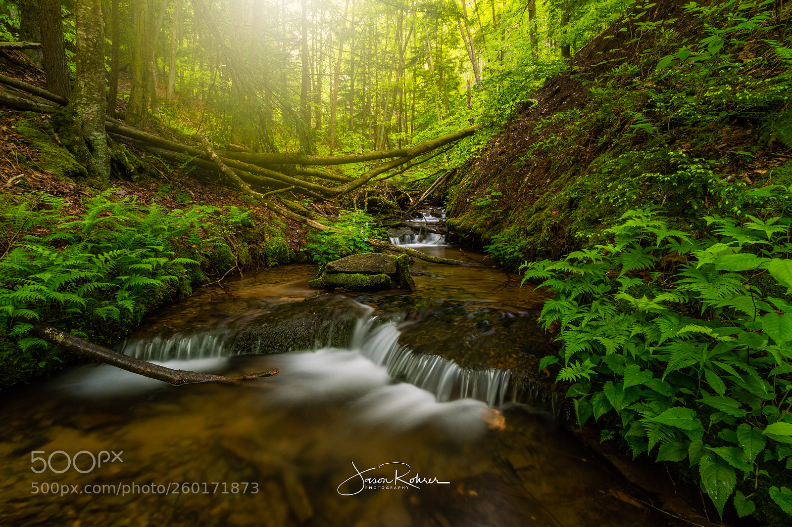 Canon EOS 7D Mark II sample photo. Salmon creek feeder stream photography