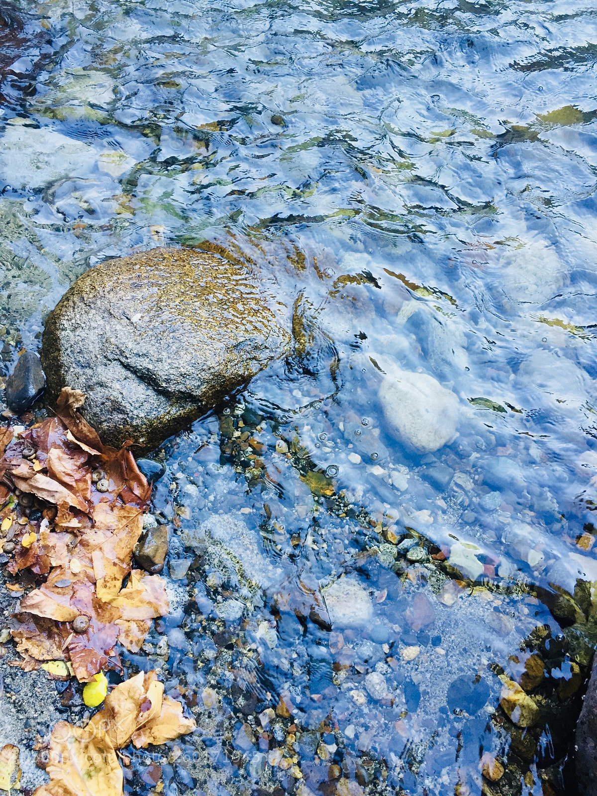 Apple iPhone 6 sample photo. Clear water photography