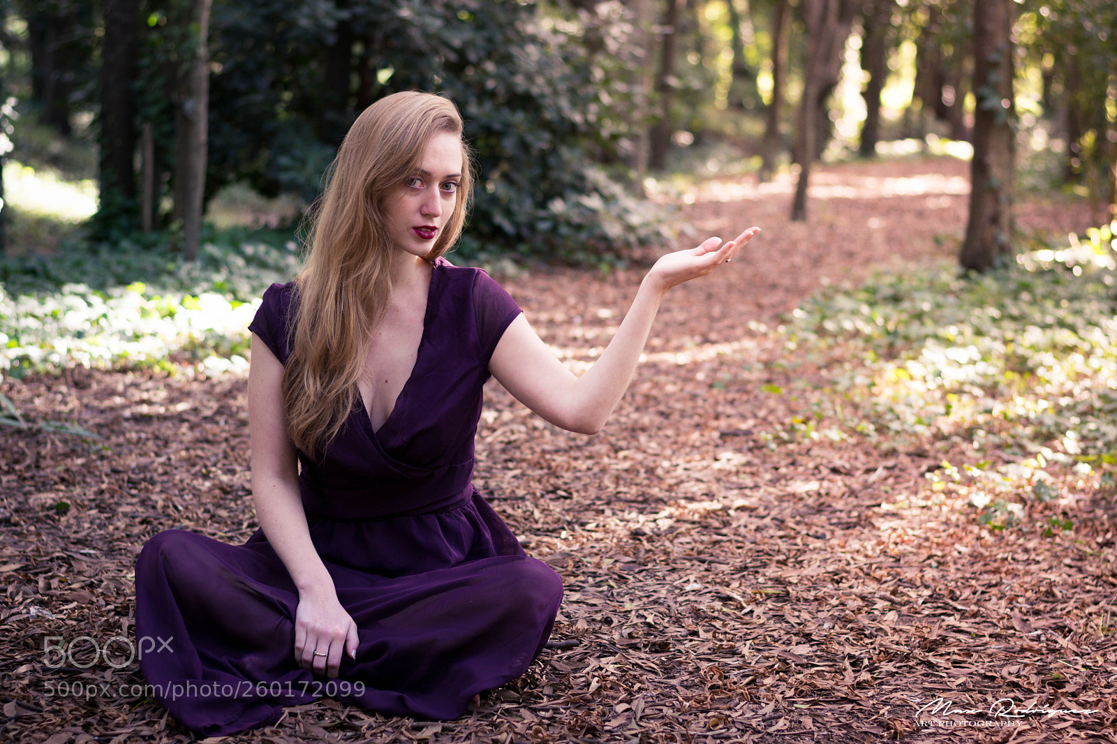 Nikon D3300 sample photo. Ladies of the forest photography