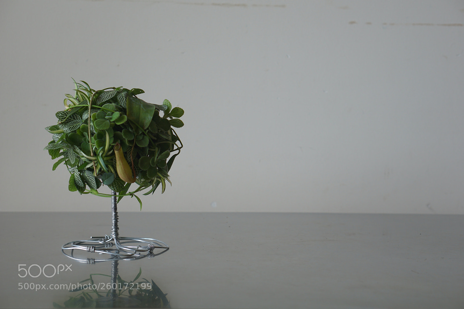 Sony a6000 sample photo. Dsc photography