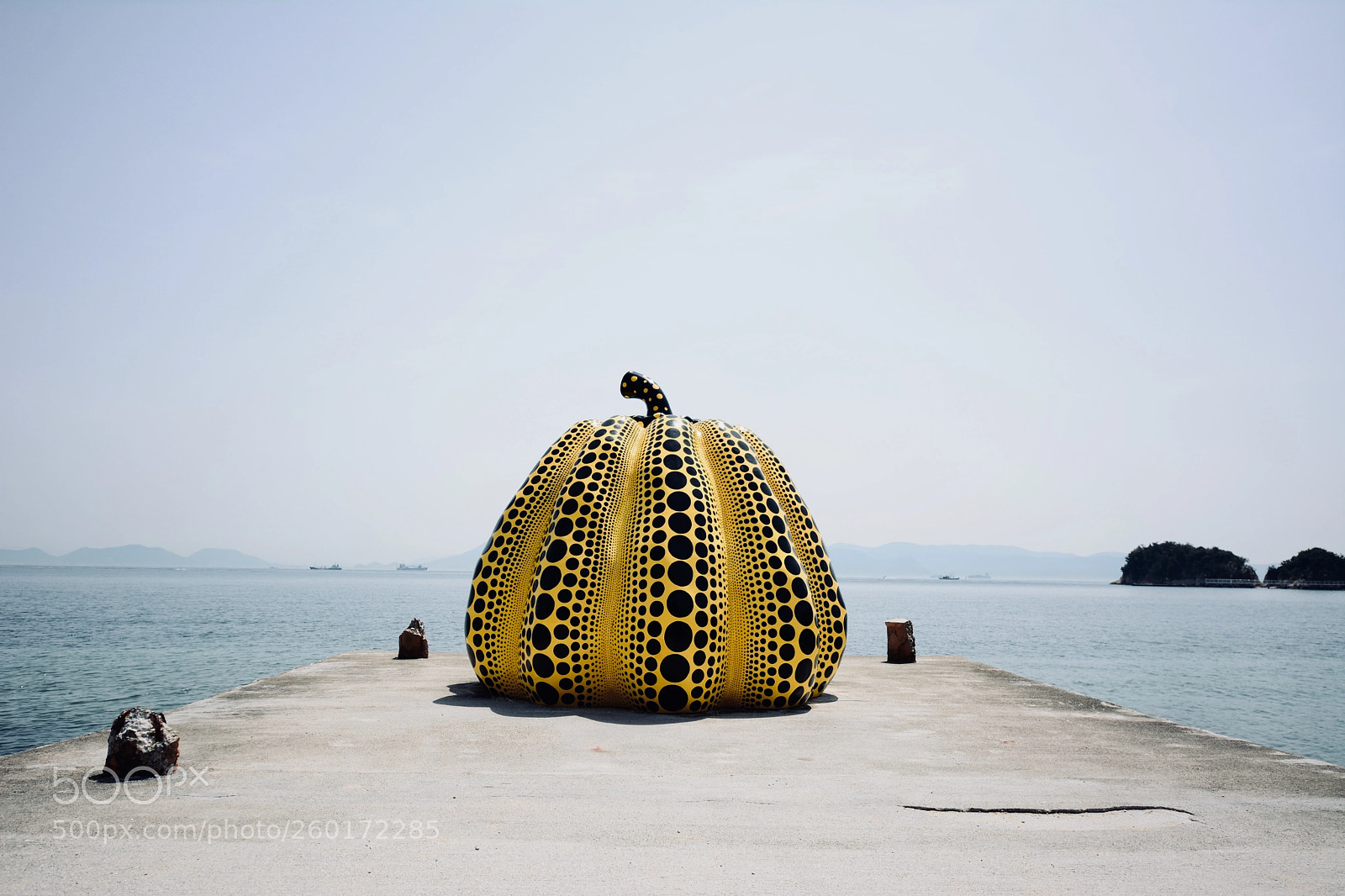 Nikon D7100 sample photo. Yayoi kusama's pumpkin photography