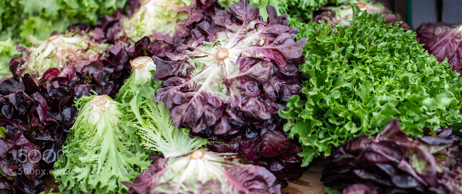Canon EOS 5D Mark IV sample photo. Assorted colorful lettuce displayed photography