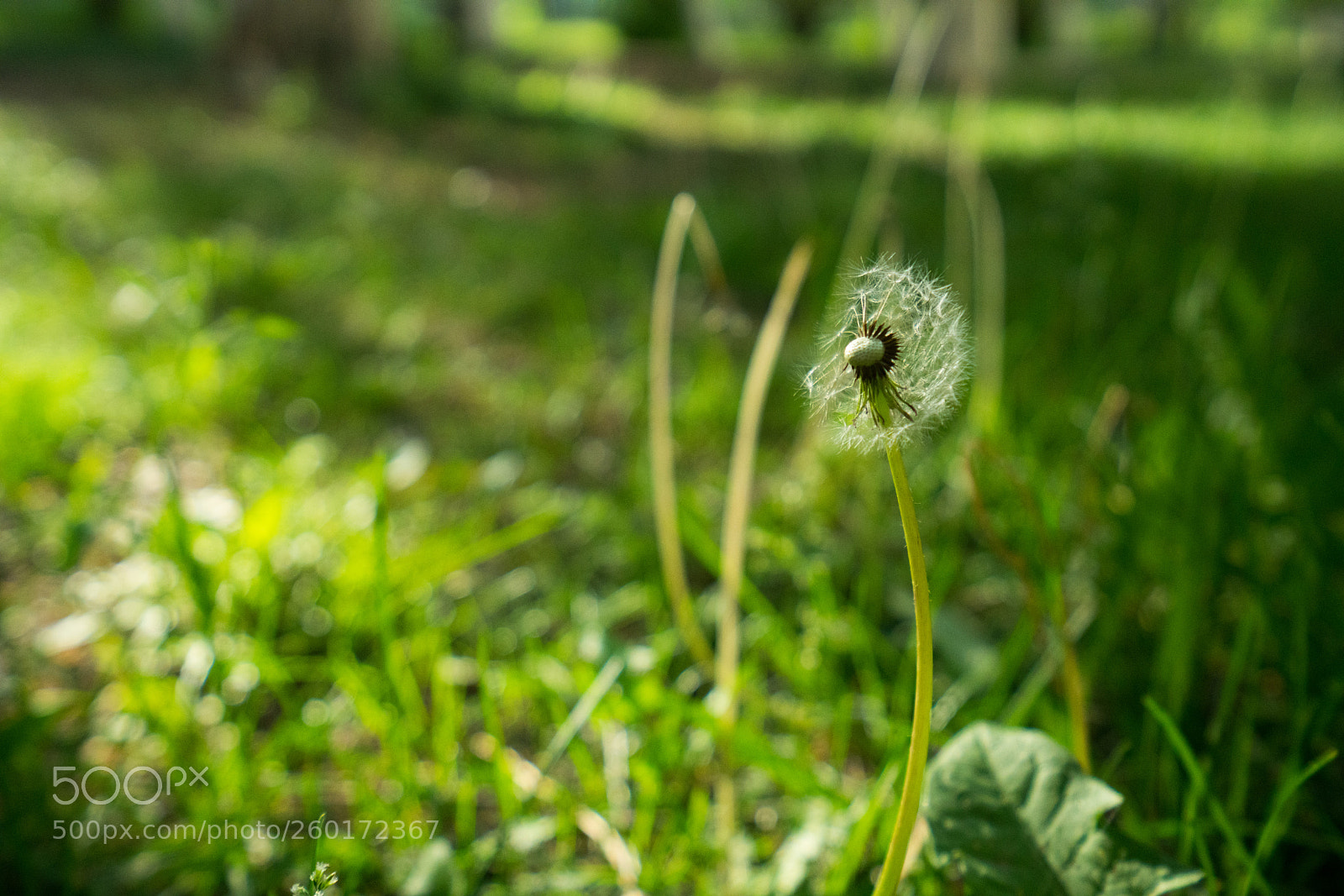 Sony a7R II sample photo. Corner photography
