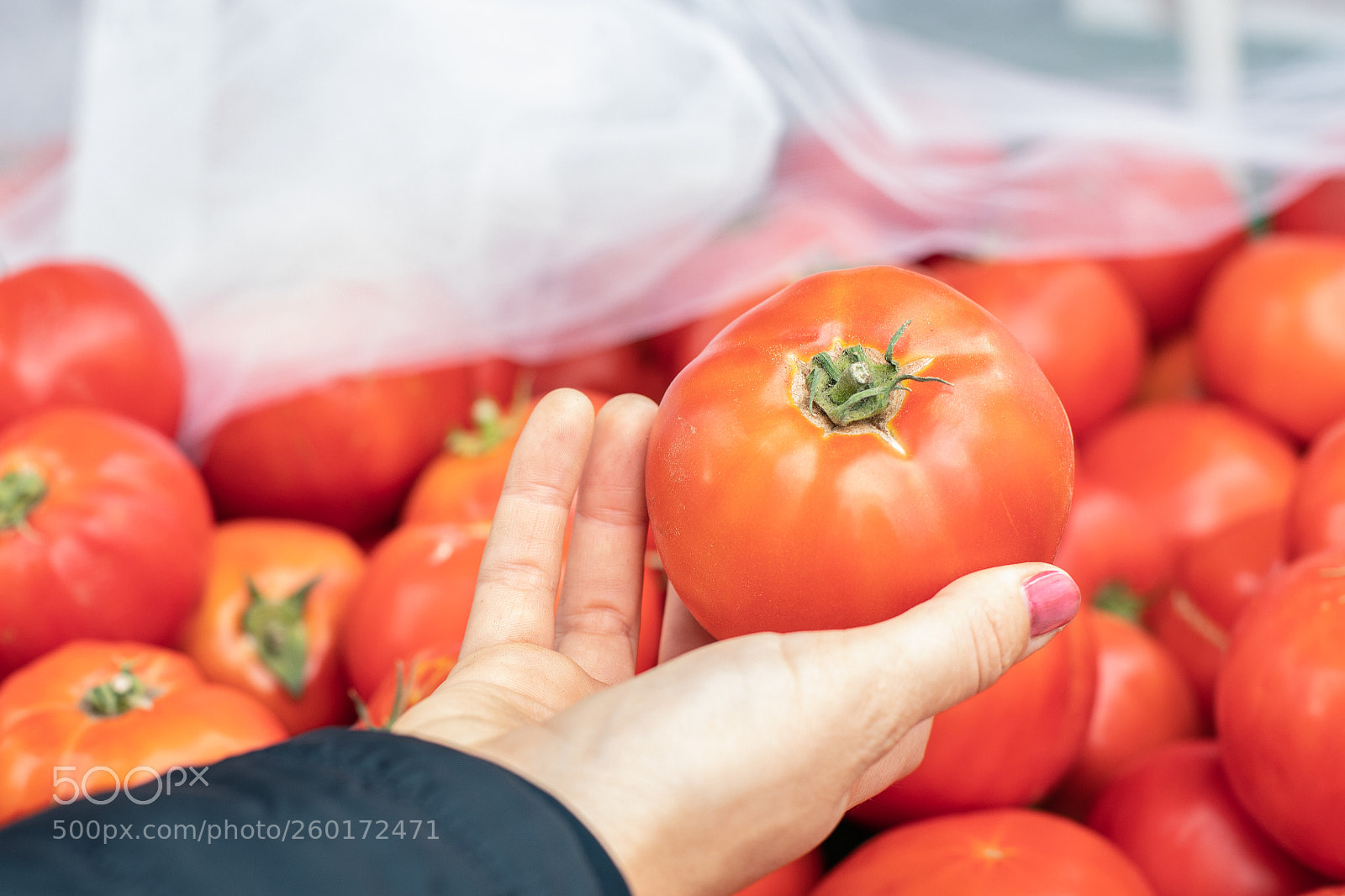 Canon EOS 5D Mark IV sample photo. A hand with a photography