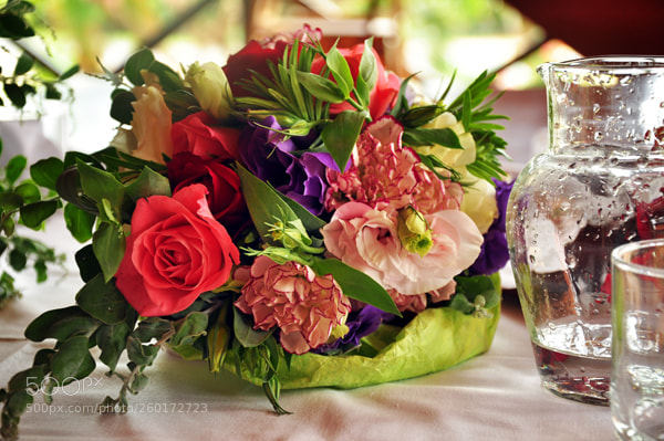 Nikon D90 sample photo. () photography