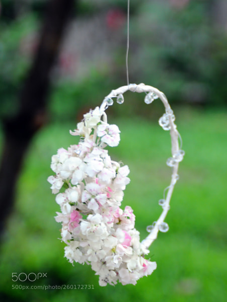 Nikon D300S sample photo. Copy photography