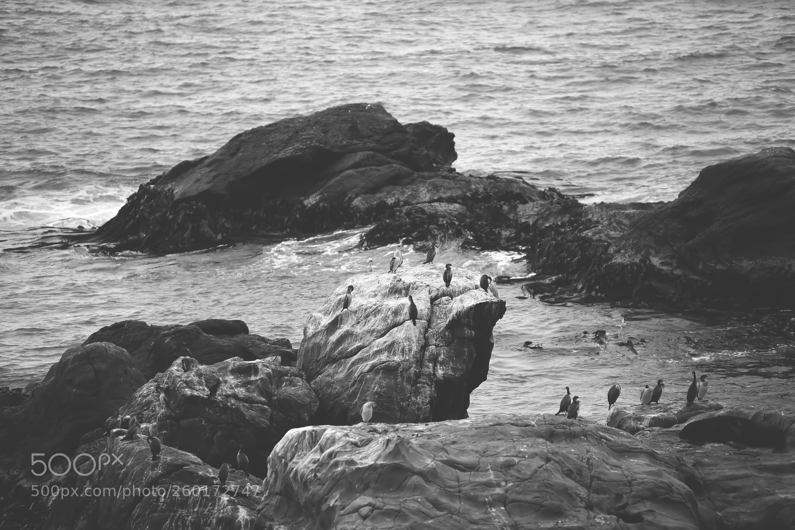 Canon EOS 5D Mark II sample photo. Gathering photography