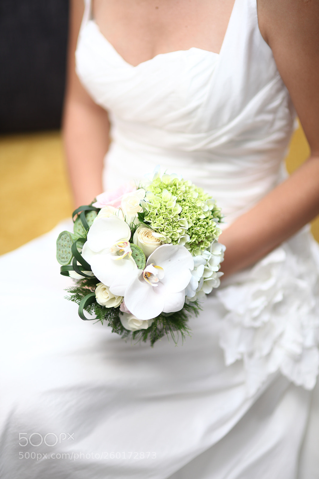 Canon EOS 5D Mark II sample photo. Img photography