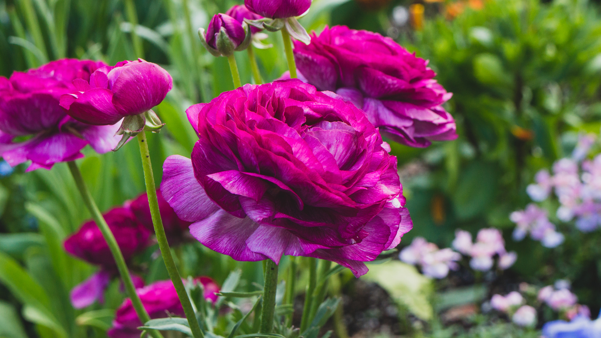 Sony Alpha NEX-7 sample photo