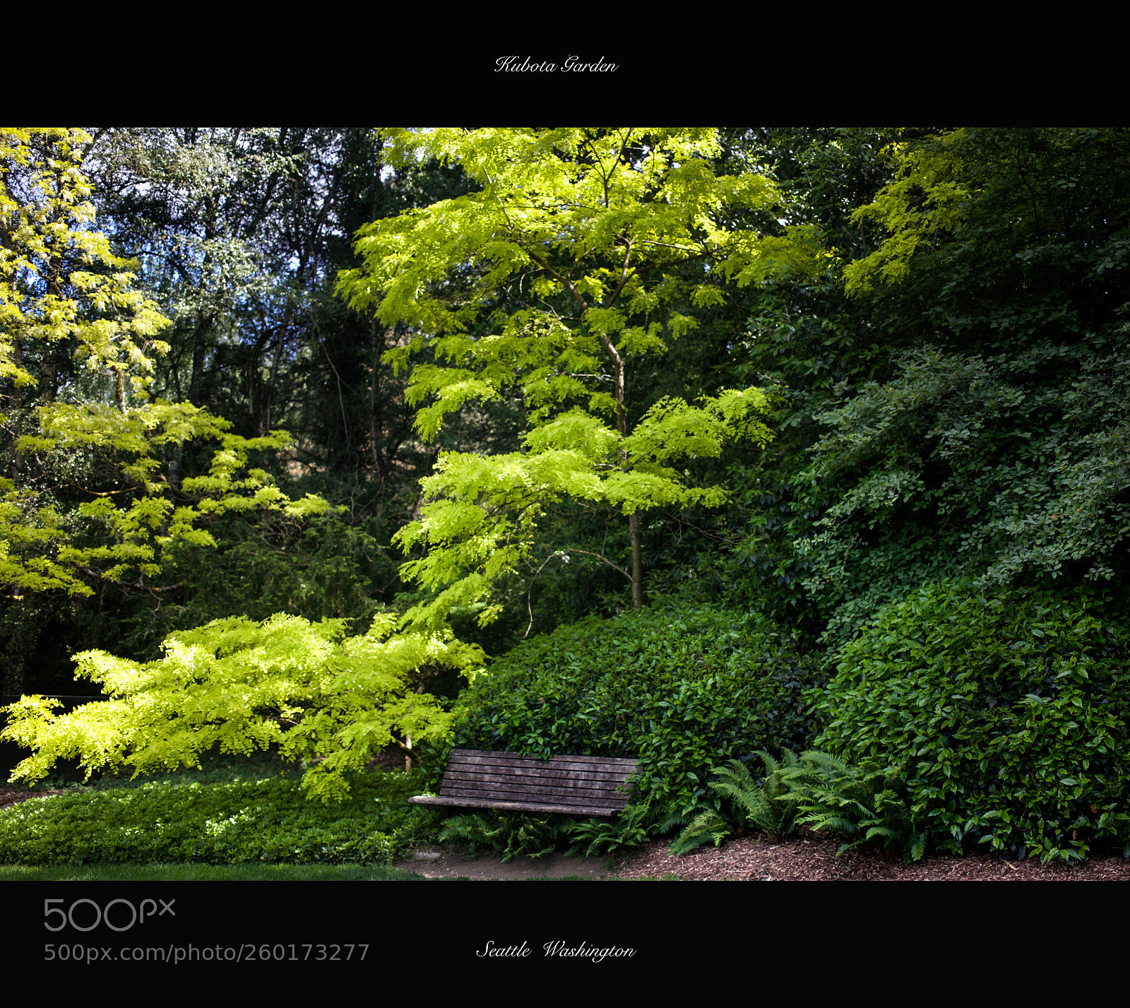 Canon EOS 5D Mark II sample photo. Kubota garden photography