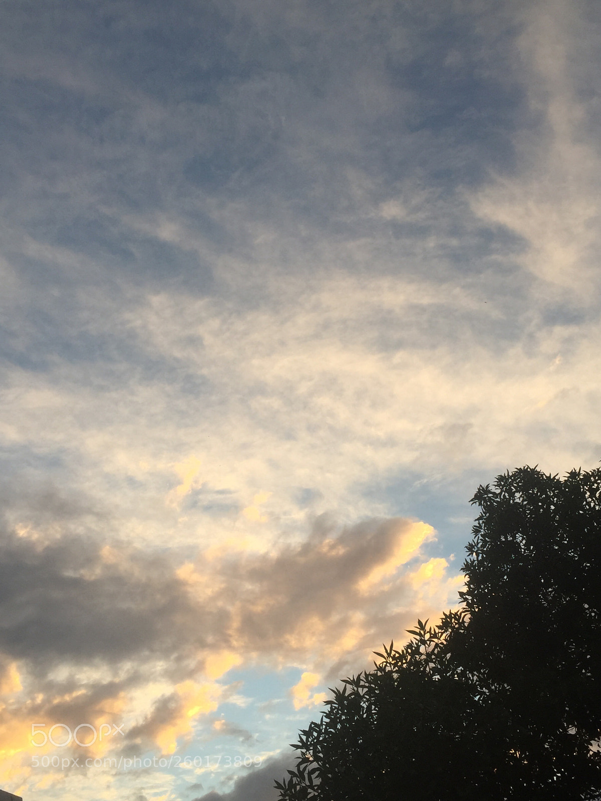 Apple iPhone 6 sample photo. Untitled photography