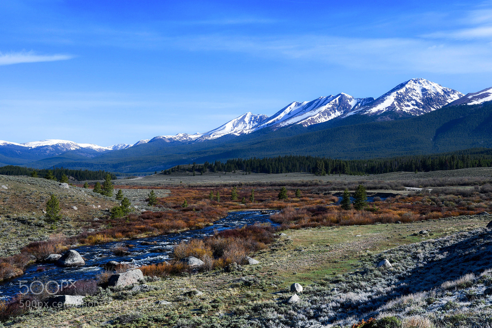 Nikon D500 sample photo. Springtime in the rockies photography