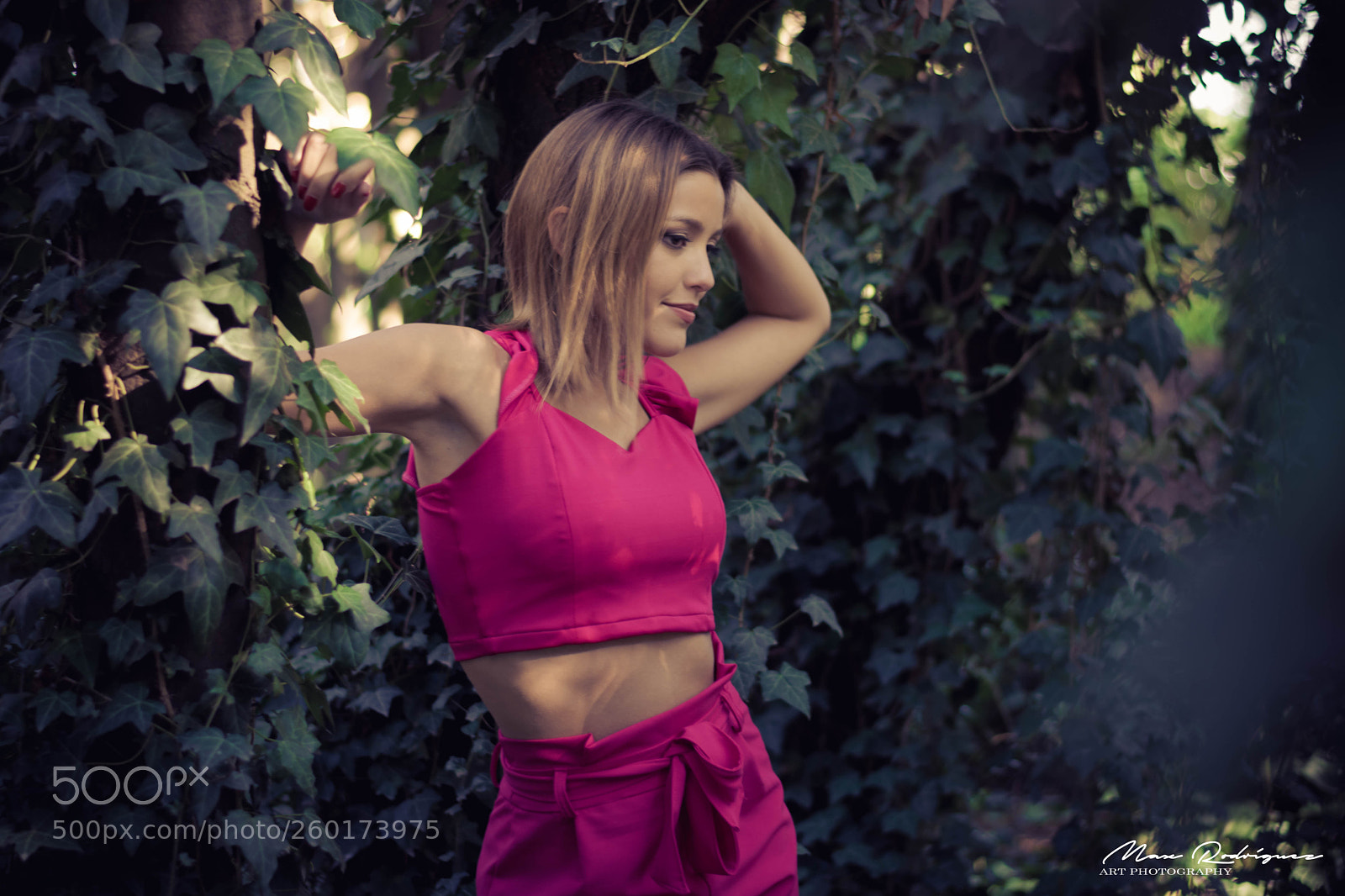 Nikon D3300 sample photo. La vie en rose photography
