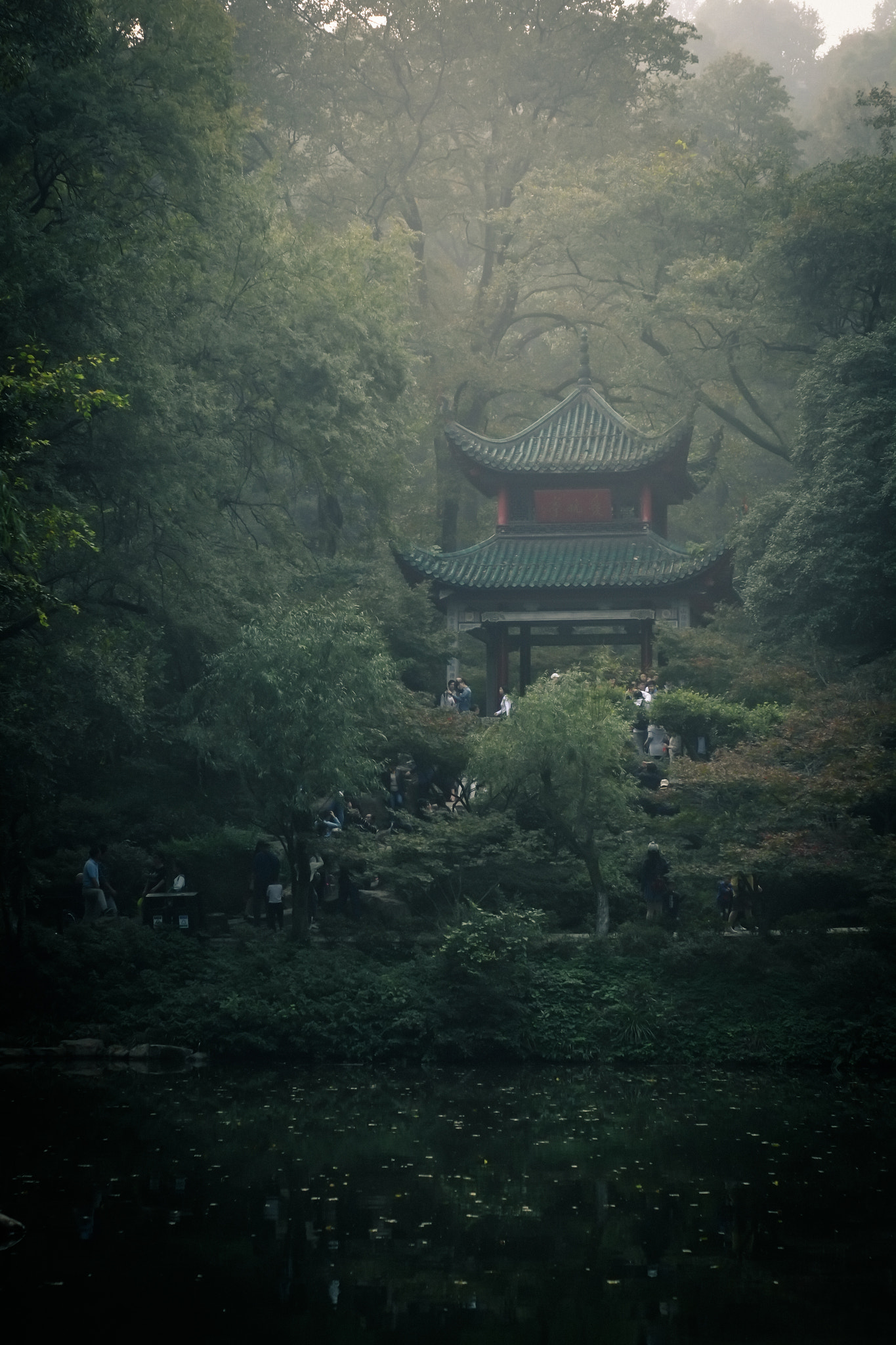 Fujifilm X-Pro1 sample photo. Green! photography