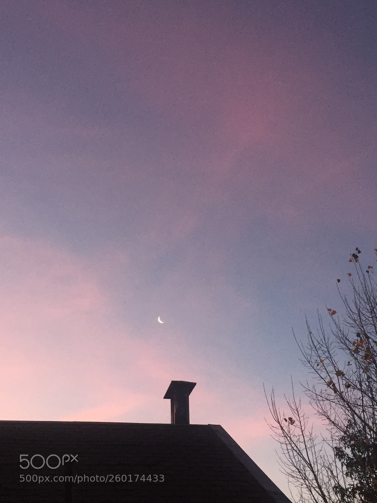 Apple iPhone 6 sample photo. Untitled photography