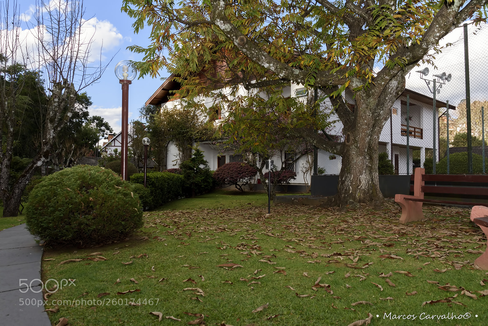 Nikon D7200 sample photo. Untitled photography