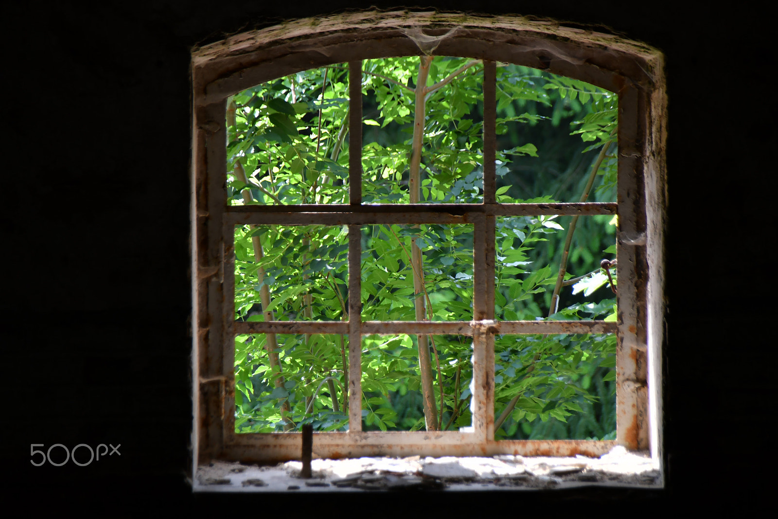 Sigma 18-250mm F3.5-6.3 DC Macro OS HSM sample photo. ...looking out... photography