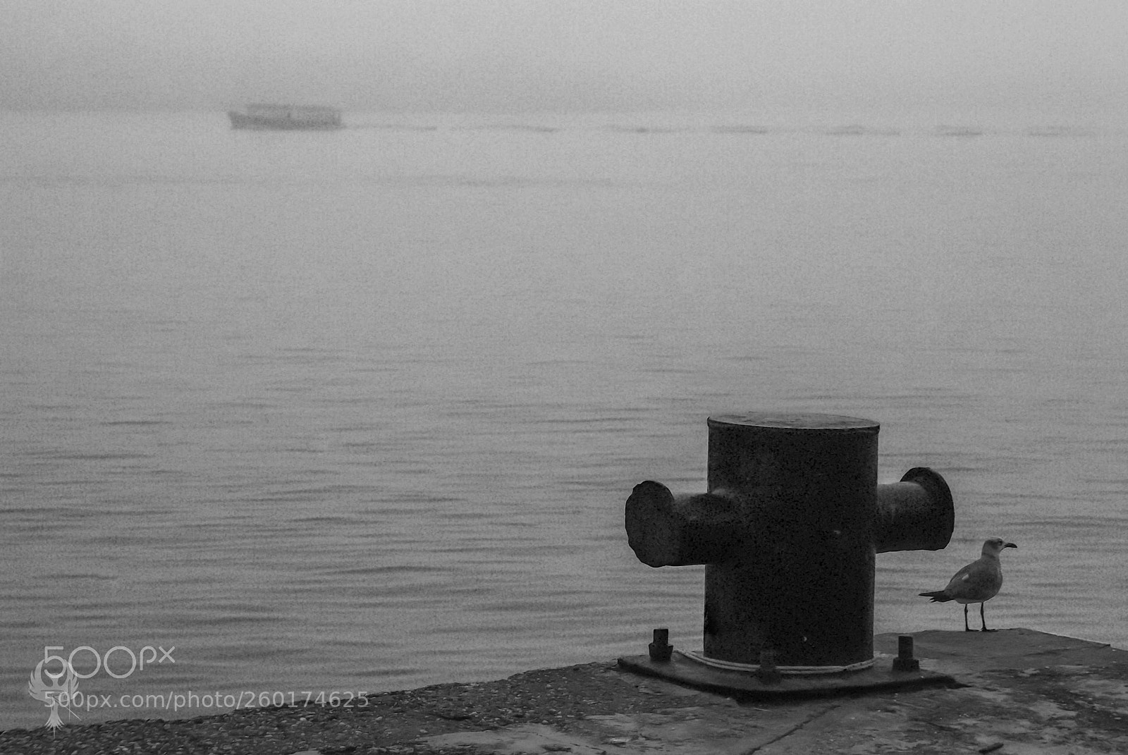 Sony Alpha DSLR-A200 sample photo. Coatzacoalcos river photography