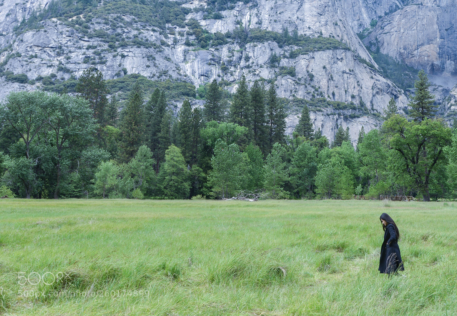 Nikon D600 sample photo. Yosemite photography