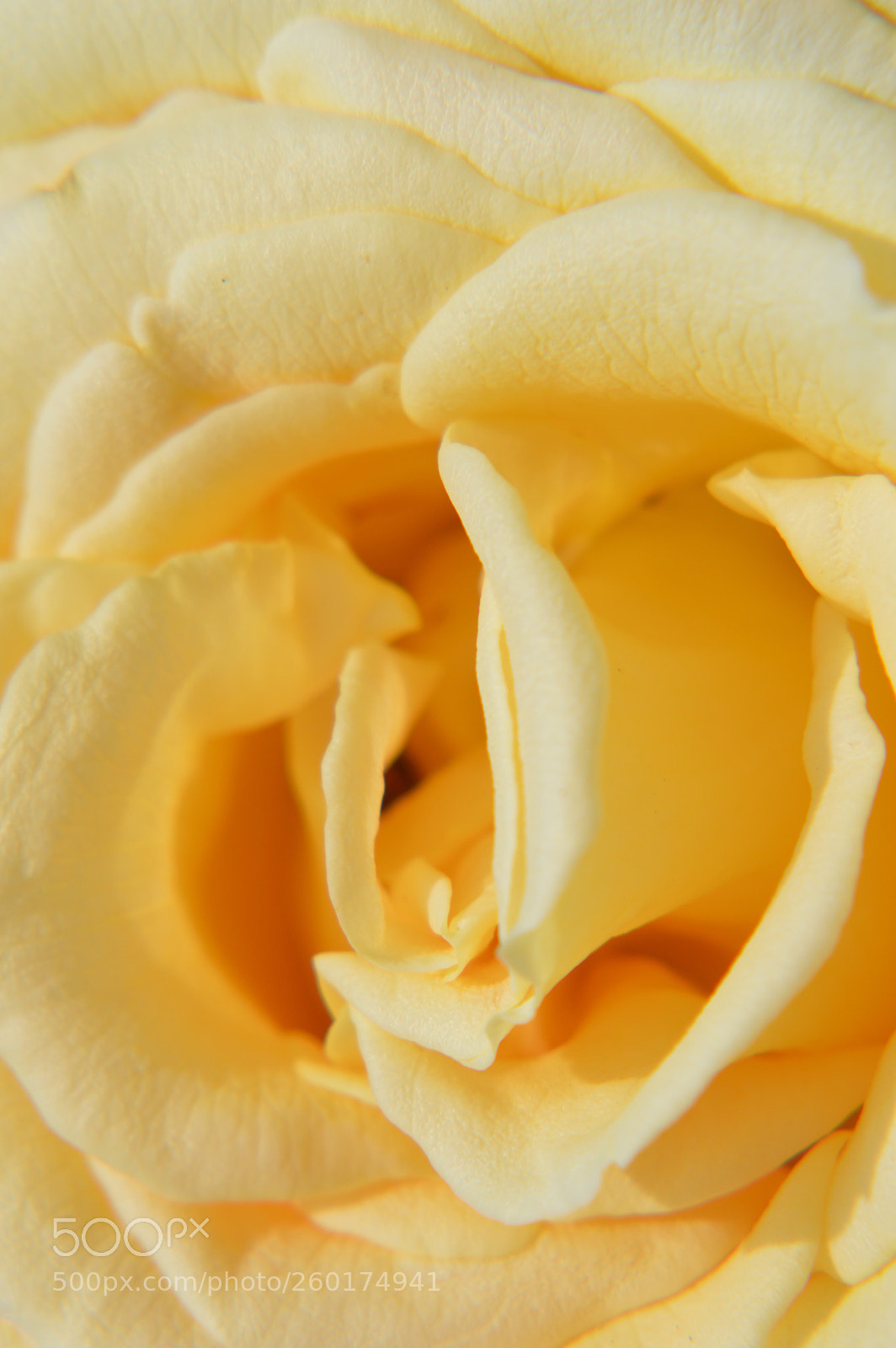 Nikon D3200 sample photo. Untitled photography