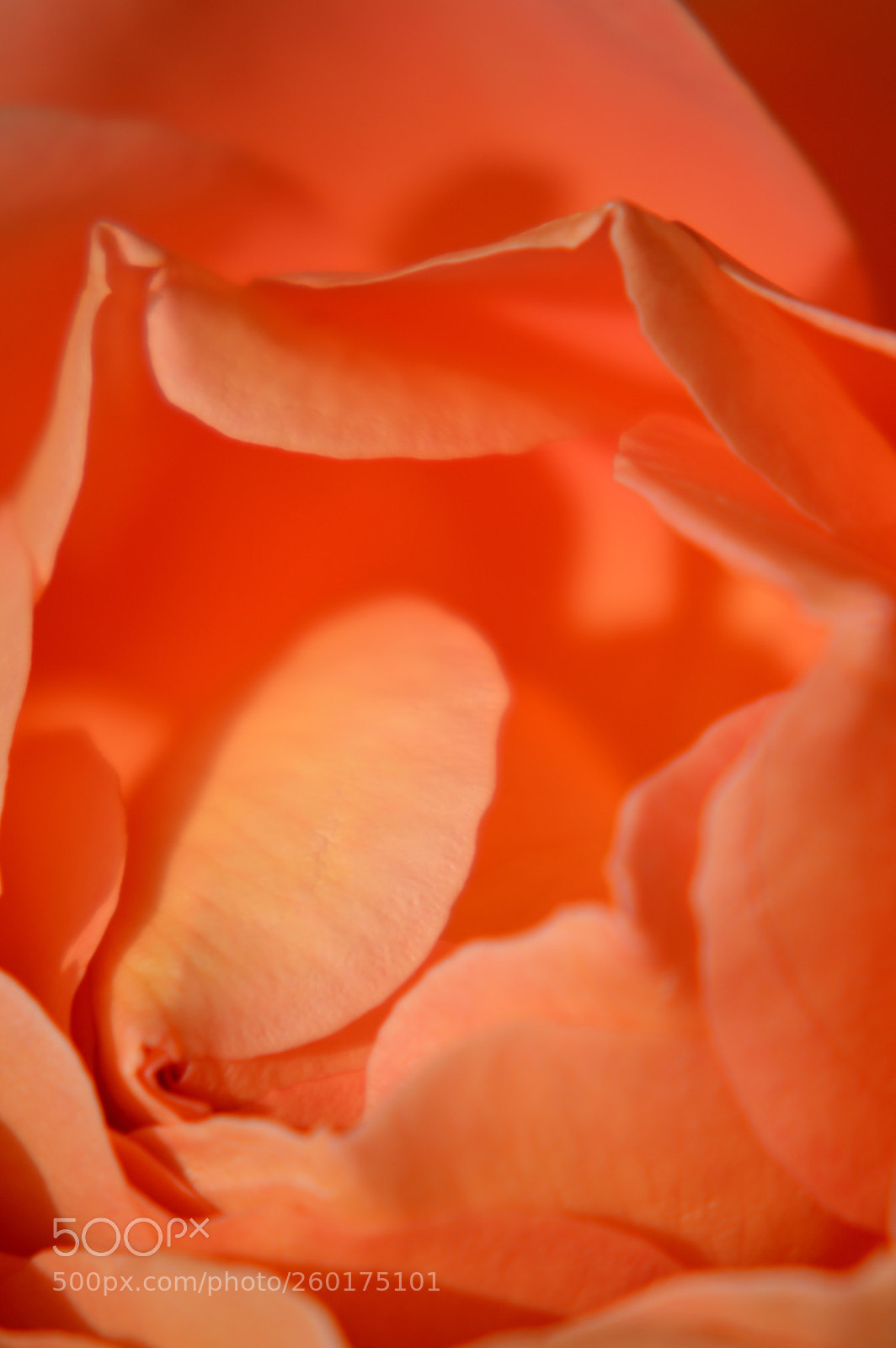 Nikon D3200 sample photo. Untitled photography