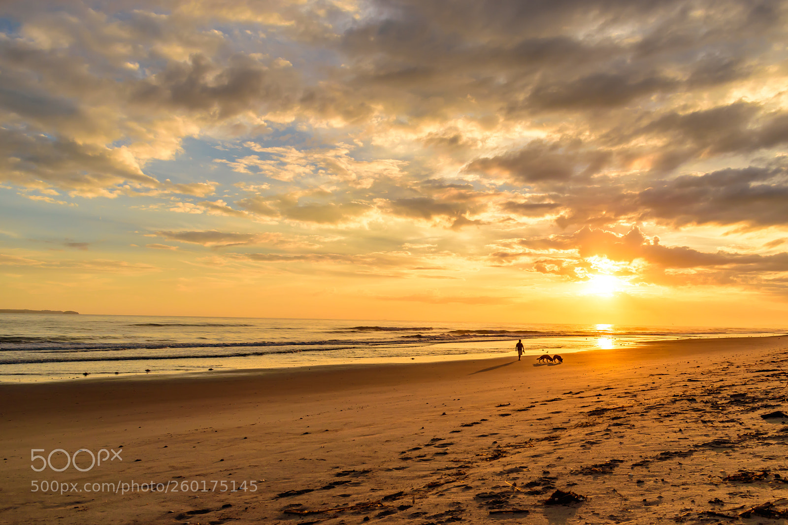 Nikon D5600 sample photo. Papamoa beach photography