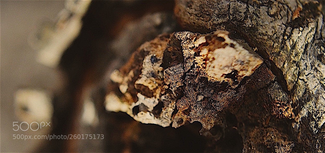 Nikon D3200 sample photo. Untitled photography