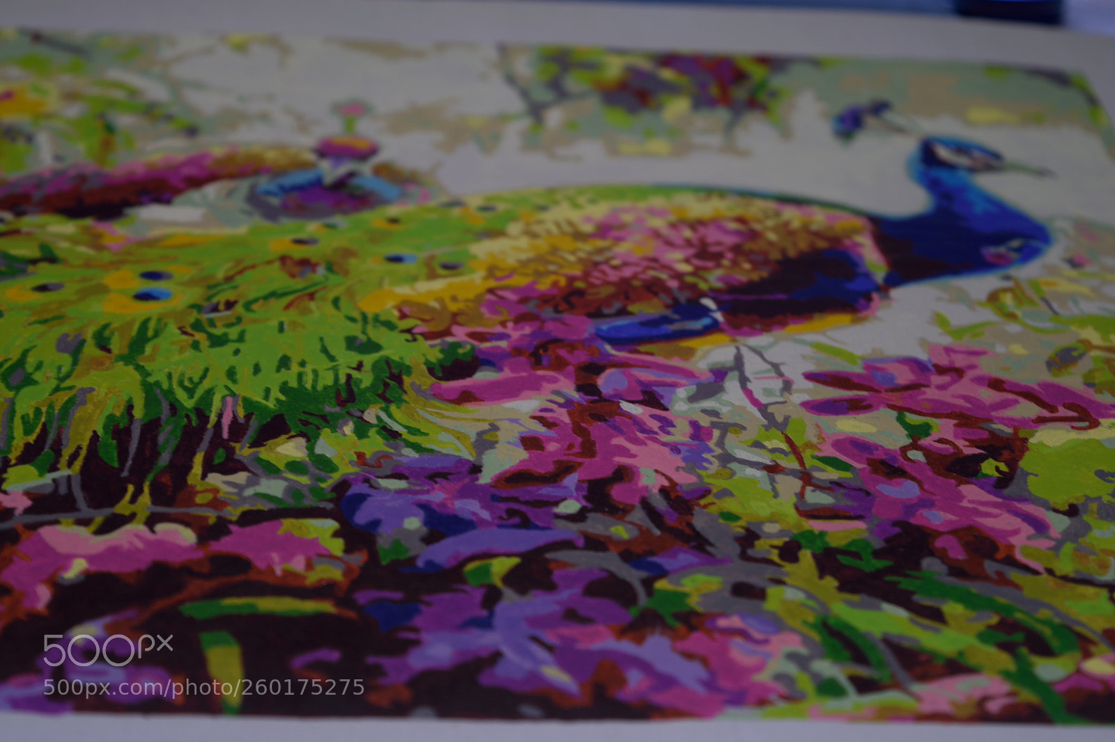 Nikon D3300 sample photo. Colors together photography