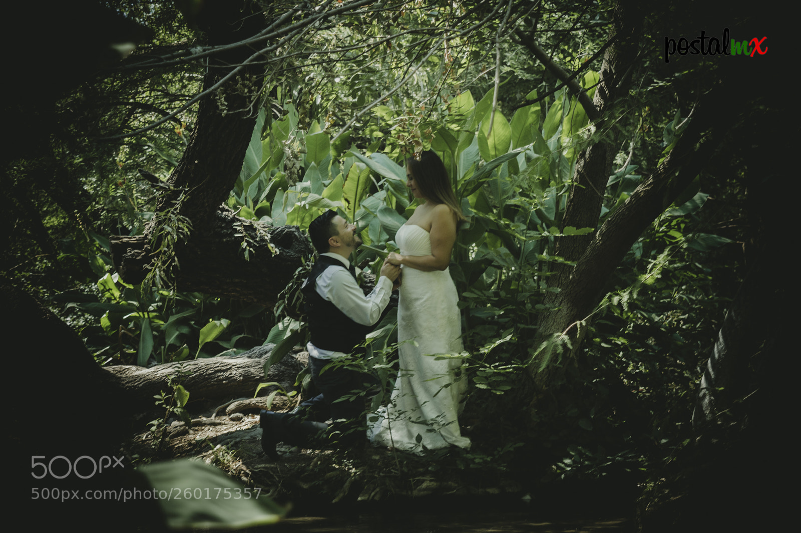 Nikon D5500 sample photo. El paraíso photography