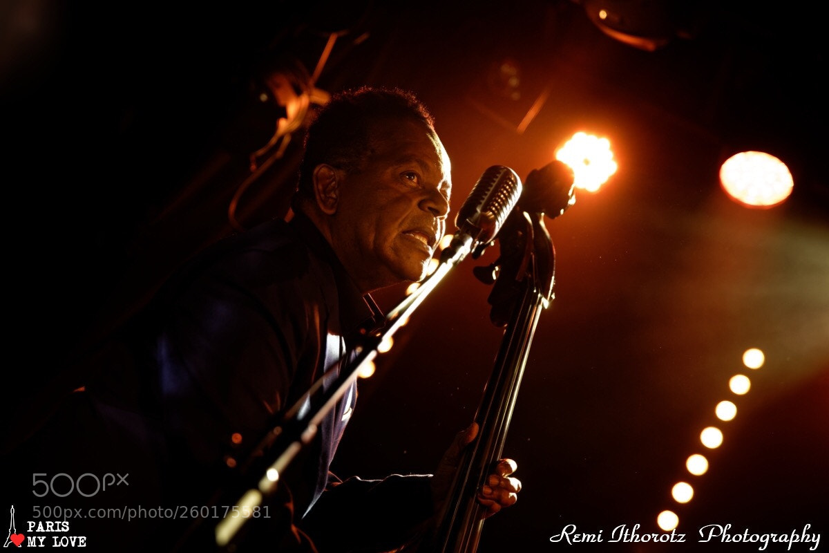 Nikon D850 sample photo. Compay segundo concert photography