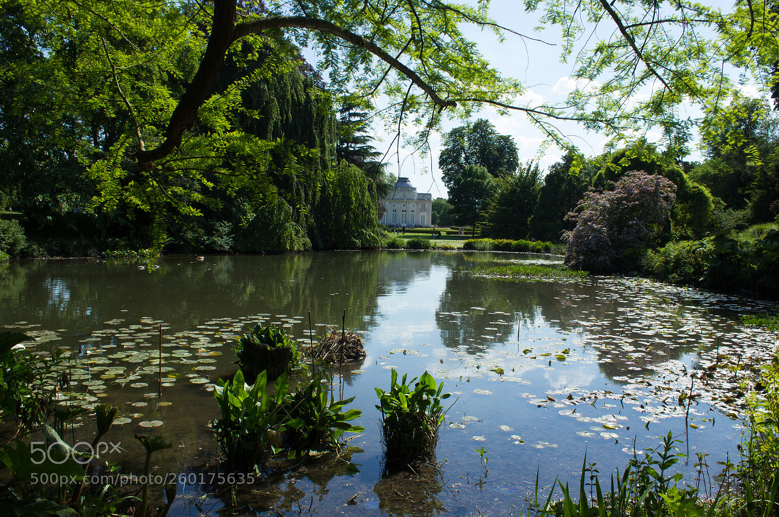 Canon EOS 600D (Rebel EOS T3i / EOS Kiss X5) sample photo. Le ch teau de photography