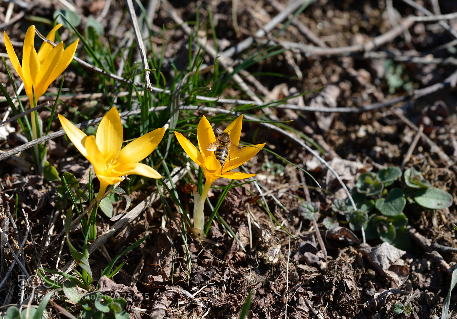 Nikon D4 sample photo. And photography
