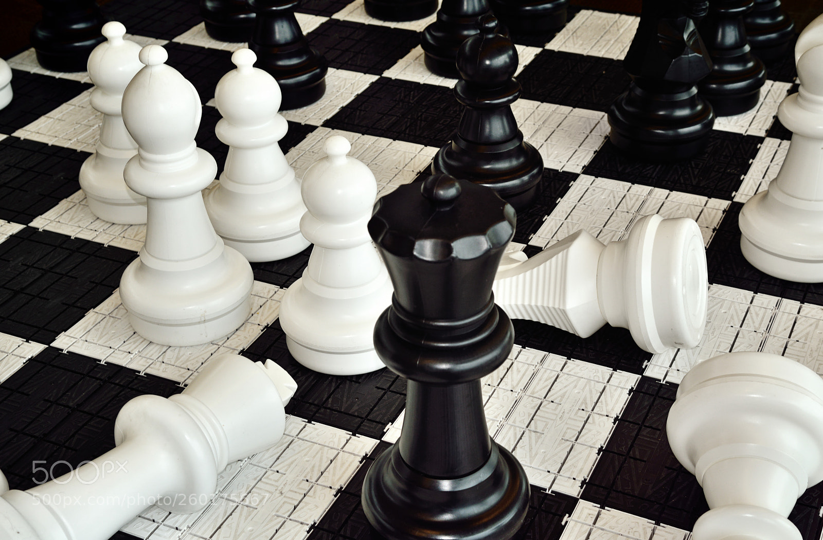 Nikon D800E sample photo. A fallen king photography