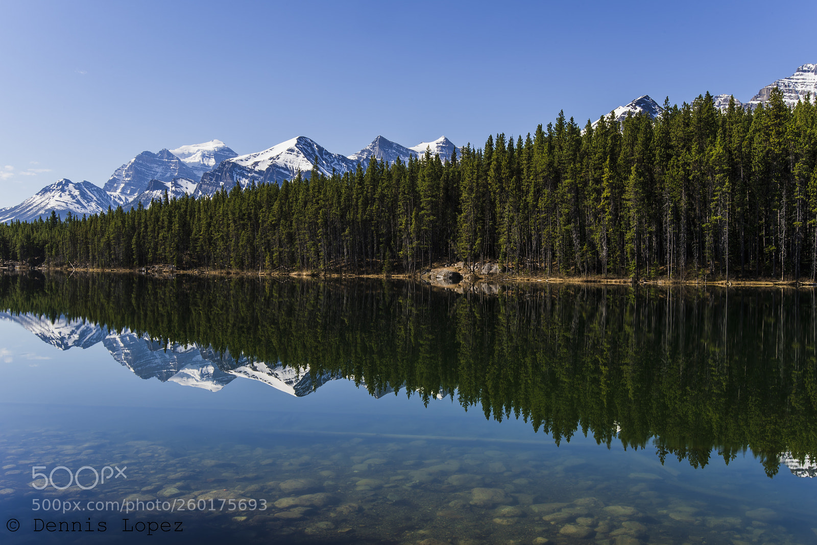 Nikon D750 sample photo. Herbert lake reflections photography