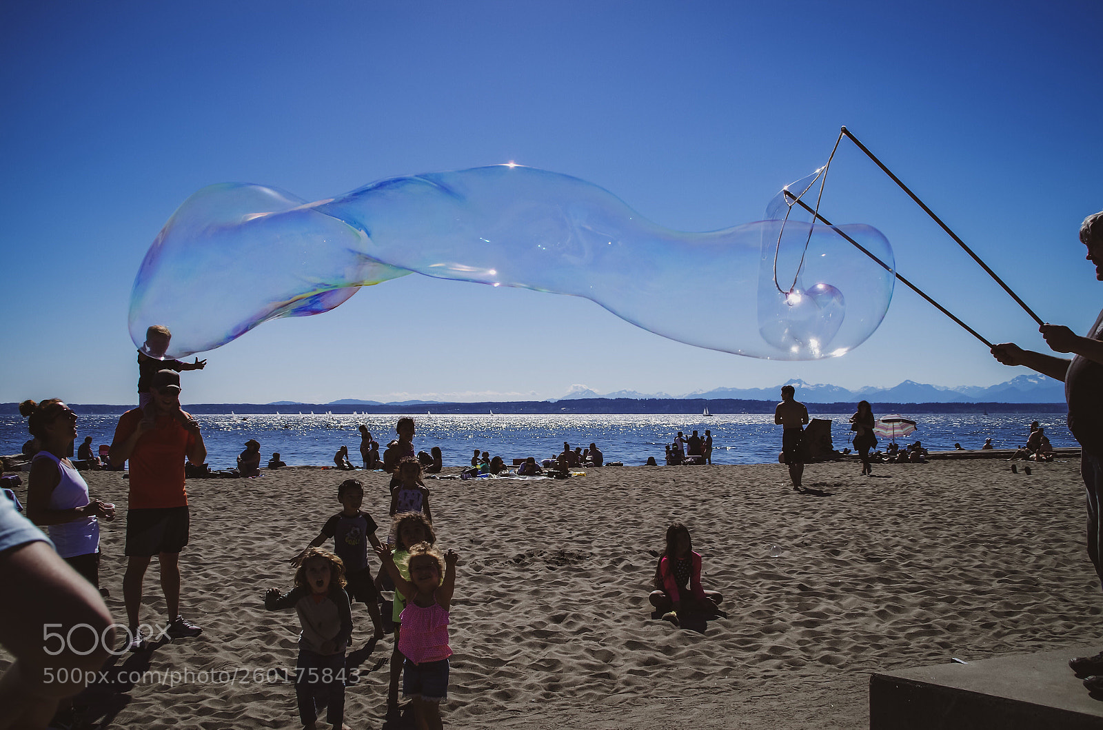 Pentax K-30 sample photo. Untitled photography