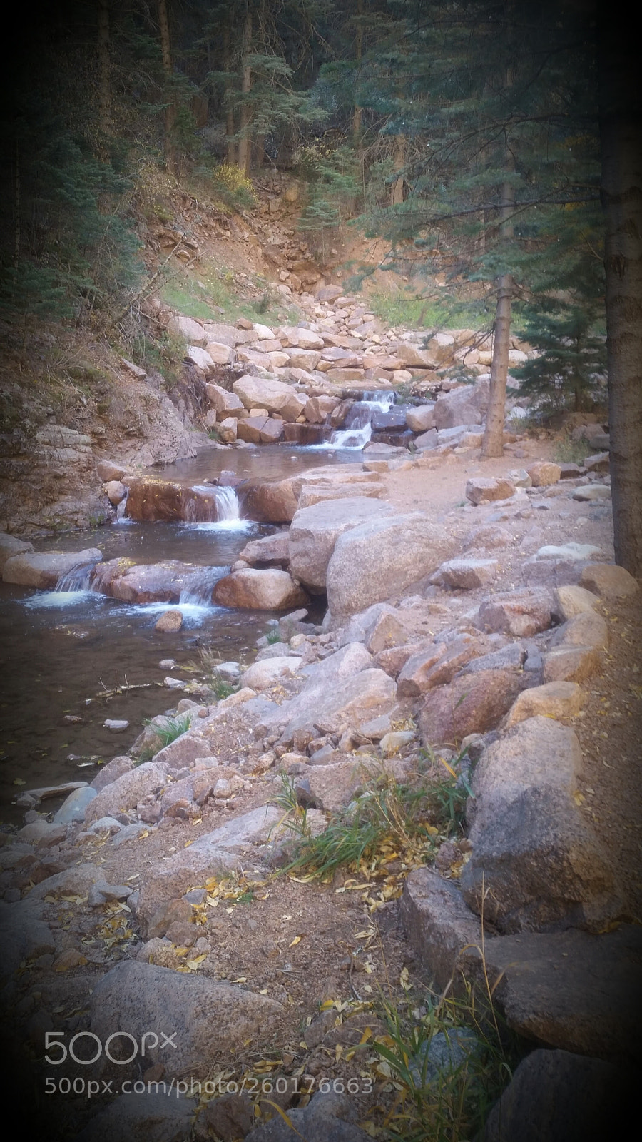 Samsung Galaxy S5 sample photo. Untitled photography