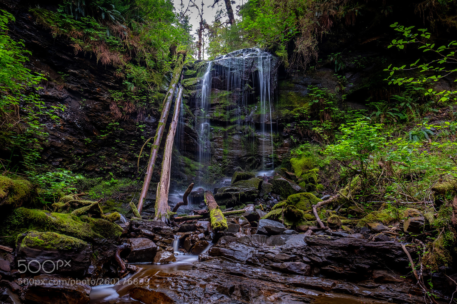Fujifilm X-T2 sample photo. Haida gwaii waterfall photography