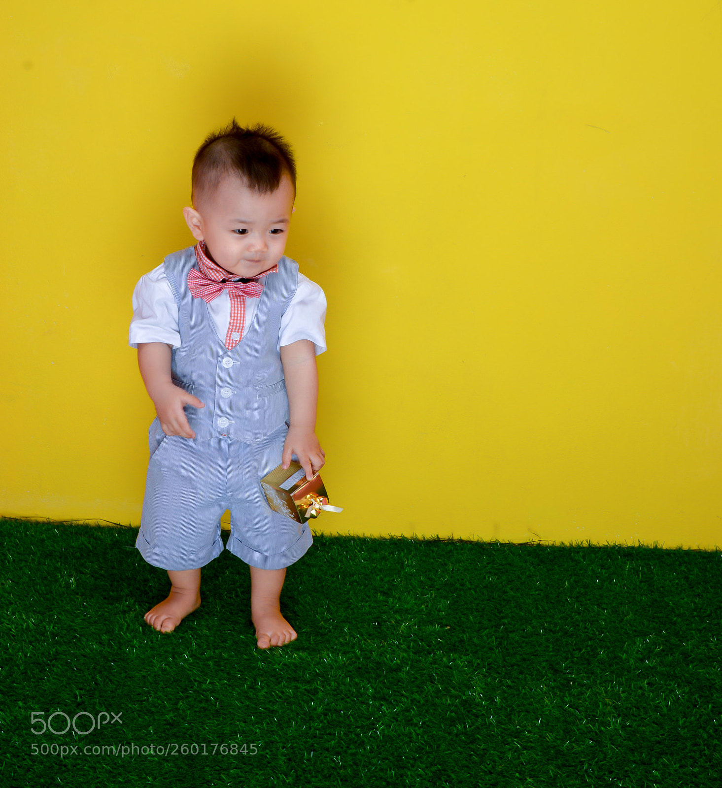 Nikon D610 sample photo. Untitled photography